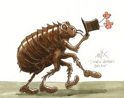 SI KUTU LONCAT  DALAM PENGGAMBARAN KARIKATURAL DI SOCIAL MEDIA. "Maka kini, selain politisi kutu loncat, juga sekalian ada partai kutu loncat. Sulit membedakan mana yang berubah sikap karena idealisme politik, dan mana yang berubah karena pragmatisme politik semata. Para kutu loncat selalu mengidealisir perubahan sikap politiknya –dengan retorika kepentingan rakyat, misalnya– kendati nyata-nyata tindakan yang dilakukan itu sebenarnya adalah oportunisme tulen atas dasar kepentingan pribadi atau kelompok." (download)